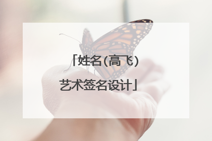 姓名(高飞)艺术签名设计