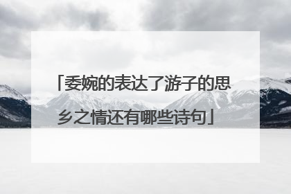 委婉的表达了游子的思乡之情还有哪些诗句