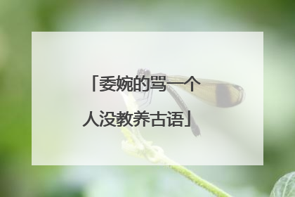 委婉的骂一个人没教养古语