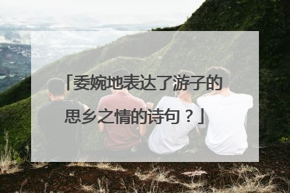 委婉地表达了游子的思乡之情的诗句?