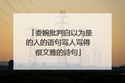 委婉批判自以为是的人的语句骂人骂得很文雅的诗句