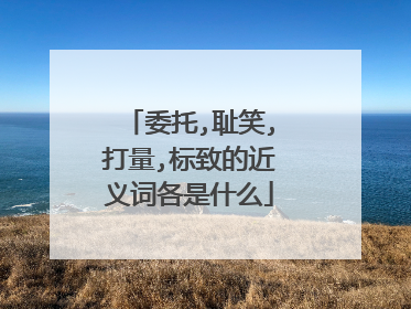 委托,耻笑,打量,标致的近义词各是什么
