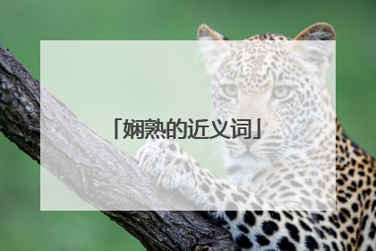 娴熟的近义词