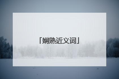 娴熟近义词