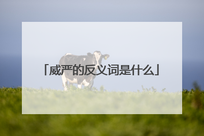 威严的反义词是什么