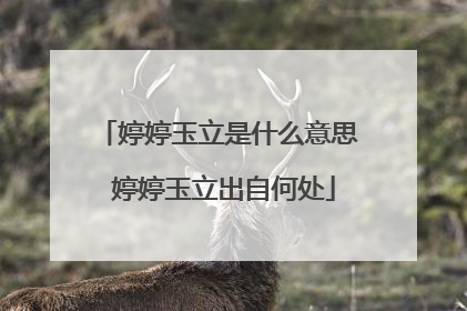 婷婷玉立是什么意思 婷婷玉立出自何处