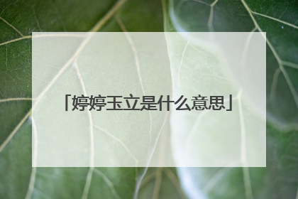 婷婷玉立是什么意思
