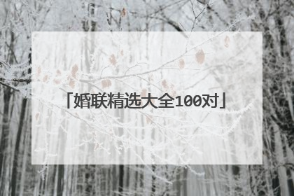 婚联精选大全100对