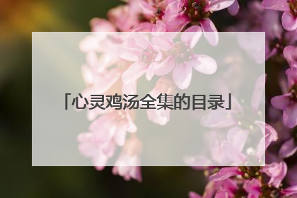 心灵鸡汤全集的目录
