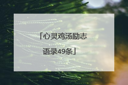 心灵鸡汤励志语录49条