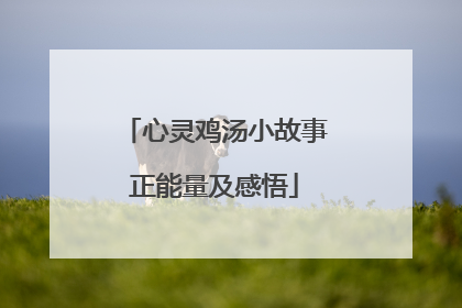 心灵鸡汤小故事正能量及感悟