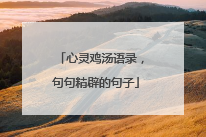心灵鸡汤语录，句句精辟的句子