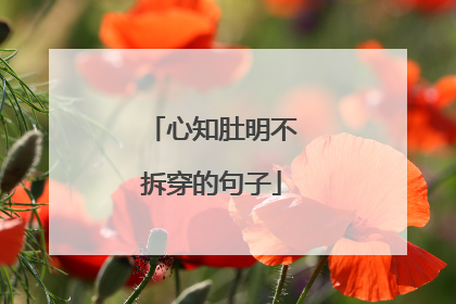 心知肚明不拆穿的句子