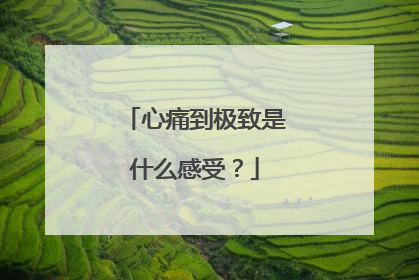 心痛到极致是什么感受?