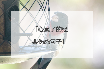 心累了的经典伤感句子