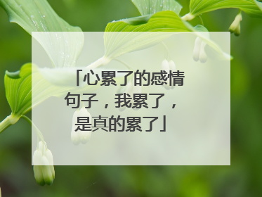 心累了的感情句子，我累了，是真的累了
