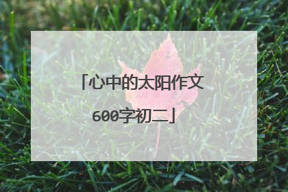 心中的太阳作文600字初二