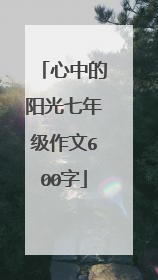心中的阳光七年级作文600字
