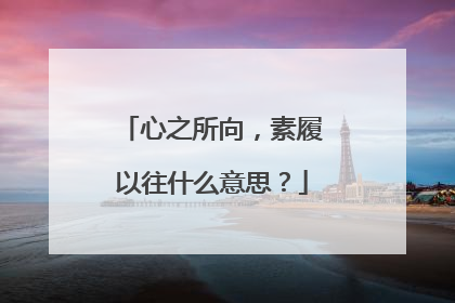 心之所向,素履以往什么意思?