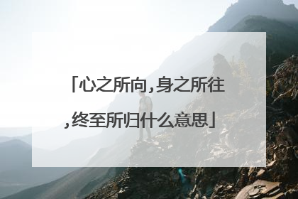 心之所向,身之所往,终至所归什么意思