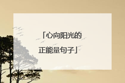 心向阳光的正能量句子
