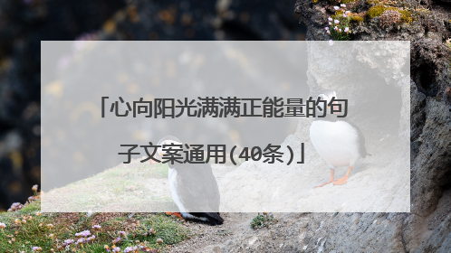 心向阳光满满正能量的句子文案通用(40条)