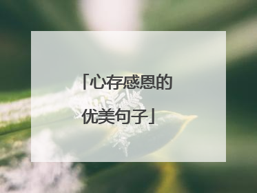 心存感恩的优美句子