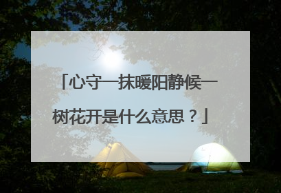 心守一抹暖阳静候一树花开是什么意思?