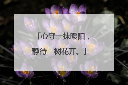 心守一抹暖阳,静待一树花开。