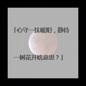 心守一抹暖阳,静待一树花开啥意思?