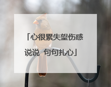 心很累失望伤感说说 句句扎心