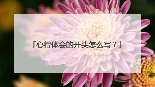 心得体会的开头怎么写?