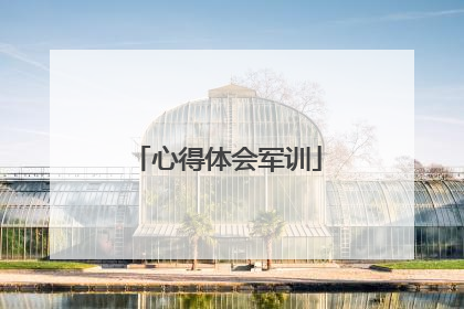 心得体会军训