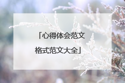 心得体会范文格式范文大全