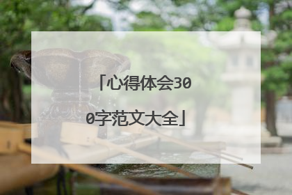 心得体会300字范文大全