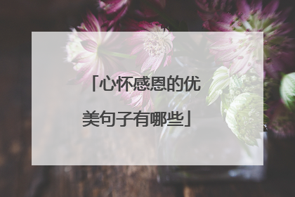 心怀感恩的优美句子有哪些