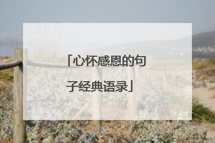 心怀感恩的句子经典语录