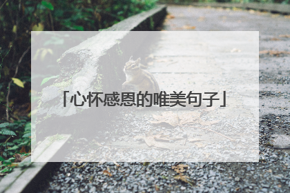 心怀感恩的唯美句子