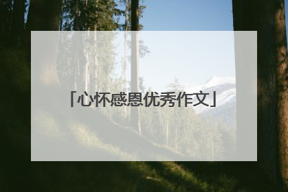 心怀感恩优秀作文