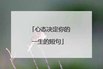 心态决定你的一生的短句