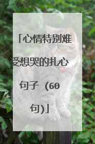 心情特别难受想哭的扎心句子 (60句)