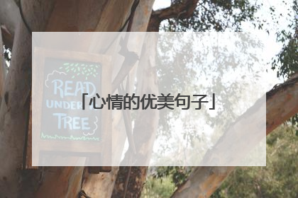 心情的优美句子