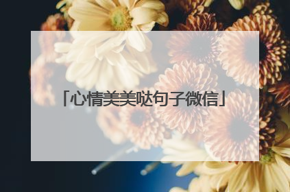 心情美美哒句子微信