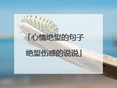 心情绝望的句子 绝望伤感的说说