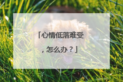 心情低落难受，怎么办？