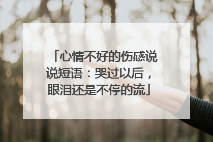 心情不好的伤感说说短语：哭过以后，眼泪还是不停的流