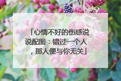 心情不好的伤感说说配图:错过一个人,那人便与你无关