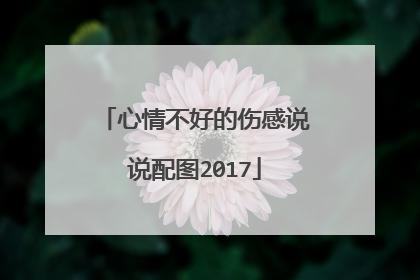 心情不好的伤感说说配图2017
