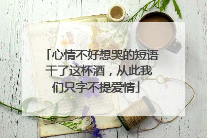心情不好想哭的短语 干了这杯酒，从此我们只字不提爱情