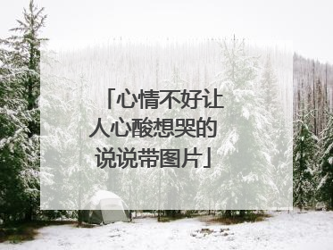 心情不好让人心酸想哭的说说带图片